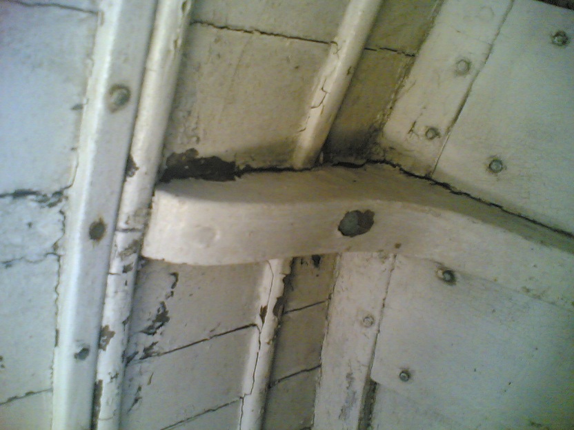 [Immagine: 201264224754_chiglia 01.jpg]